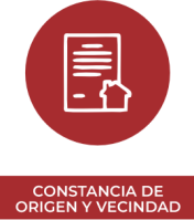 Constancia de origen y vecindad Tlalixtac